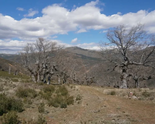 Senderismo en Cerro Larda