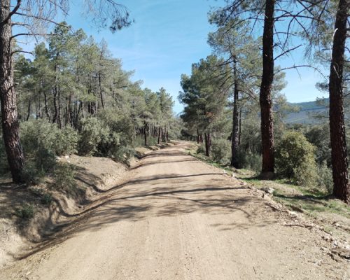 Ruta el pinar