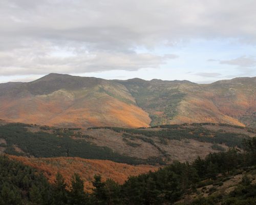 Ruta Fuentes del Jarama