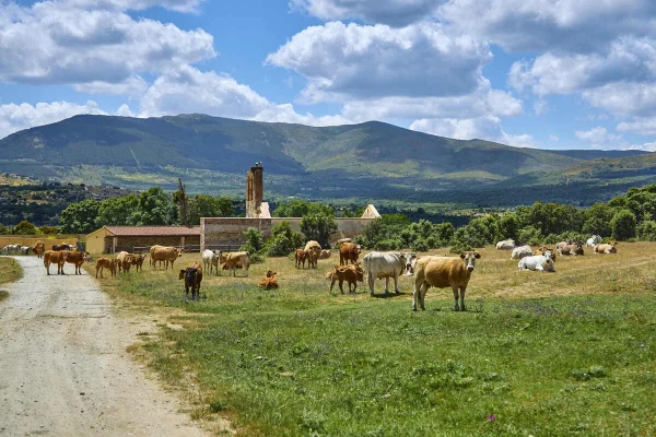 Ruta Juana la Beltraneja