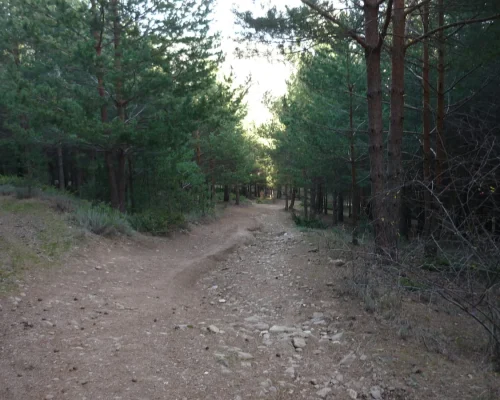 Ruta por la Ladera de Santuil