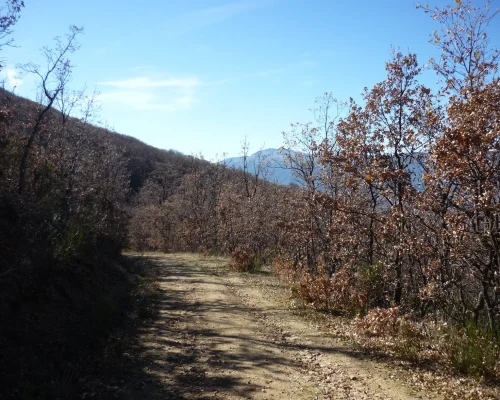 Ruta en Los cerros de los Altos del Hontanar