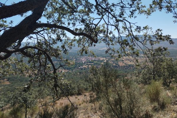 Ruta collado de las dehesilla