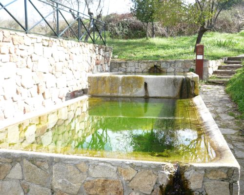 Ruta dehesa en la Sierra