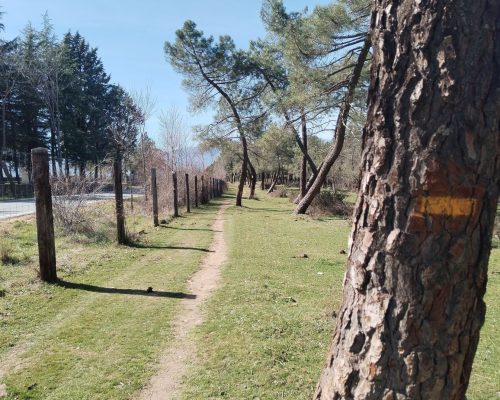 Ruta por el El portachuelo viejo