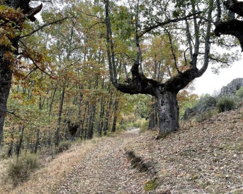camino montañoso de la ruta del cartero