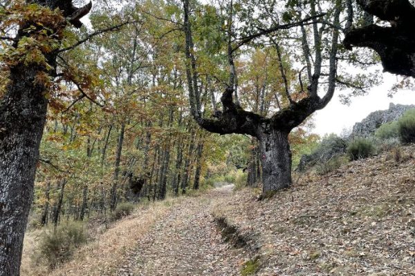 camino montañoso de la ruta del cartero