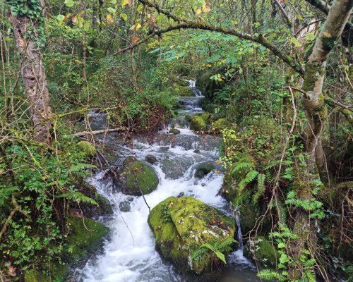 Rutasdemarchanórdica_Caminarte