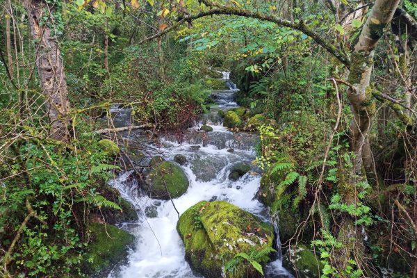 Rutasdemarchanórdica_Caminarte