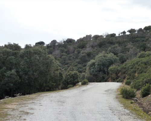 Ruta senda para todos