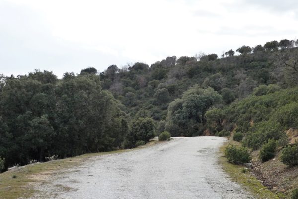 Ruta senda para todos