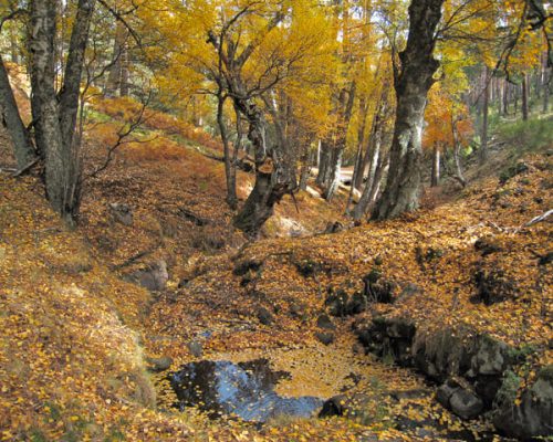 SENDA-SESTIL-DEL-MAILLO-Y-LADERA-MOJONAVALLEWEB