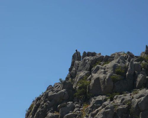 SIERRA-DE-LA-CABRERA-2-WEB