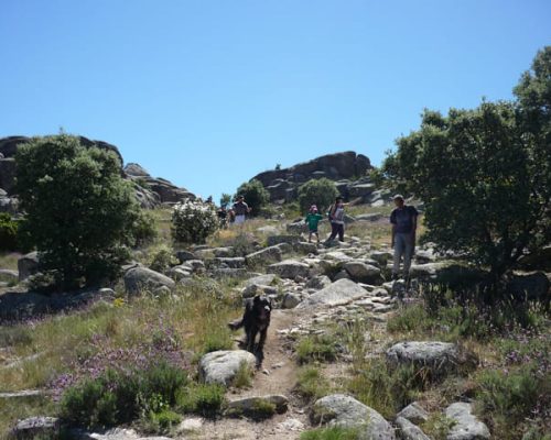 SIERRA-DE-LA-CABRERA-4-WEB