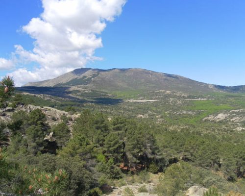 SUBIDA-AL-ESPALDAR-2-WEB