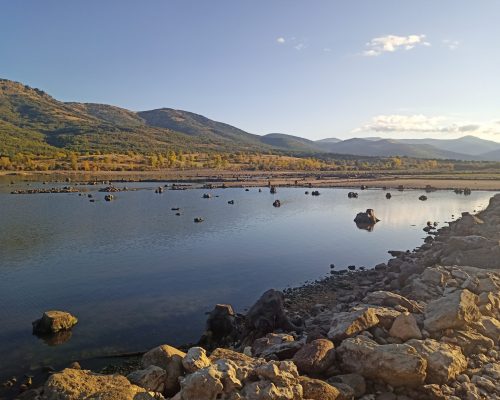 Senderismo, rastreo y avistamiento_Caminarte