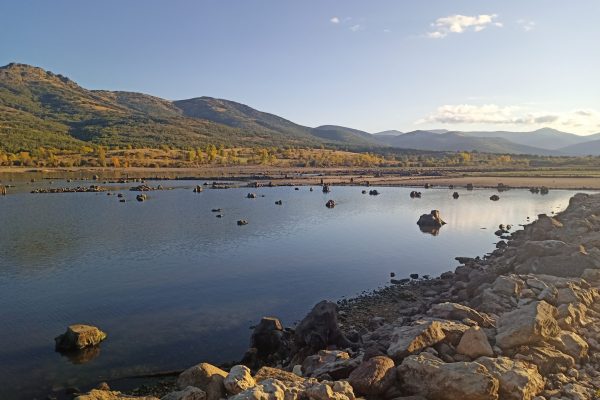 Senderismo, rastreo y avistamiento_Caminarte