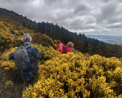 filter: 0; jpegRotation: 0; fileterIntensity: 0.000000; filterMask: 0; module:31facing:0;
hw-remosaic: 0;
touch: (-1.0, -1.0);
modeInfo: Beauty ;
sceneMode: Night;
cct_value: 0;
AI_Scene: (-1, -1);
aec_lux: 0.0;
hist255: 0.0;
hist252~255: 0.0;
hist0~15: 0.0;