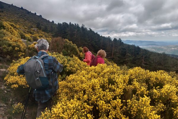 filter: 0; jpegRotation: 0; fileterIntensity: 0.000000; filterMask: 0; module:31facing:0; 
hw-remosaic: 0; 
touch: (-1.0, -1.0); 
modeInfo: Beauty ; 
sceneMode: Night; 
cct_value: 0; 
AI_Scene: (-1, -1); 
aec_lux: 0.0; 
hist255: 0.0; 
hist252~255: 0.0; 
hist0~15: 0.0;