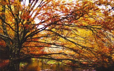 Sierra-del-Rincón-en-otoño