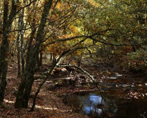 Tubkala_SenderismoFotografico3