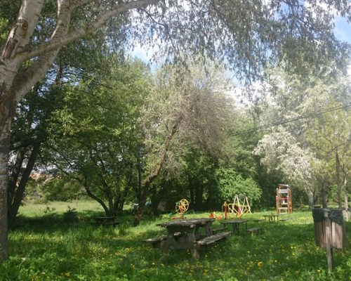 viñas-navalafuente