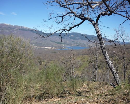 Valle y lago de fondo