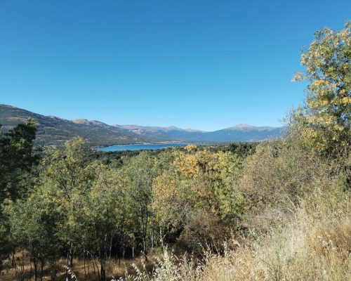Vista lago