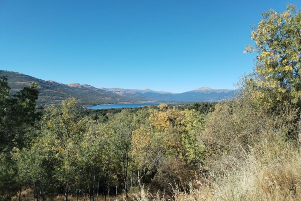 Vista lago