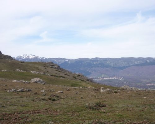 Vista del campo y montaña nevada de fondo