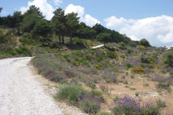 Vuelta-al-cerro-del-Cuadron4