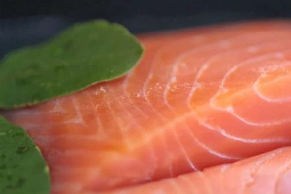 salmón con especias