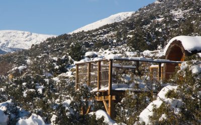 camping-monteholiday-nieve