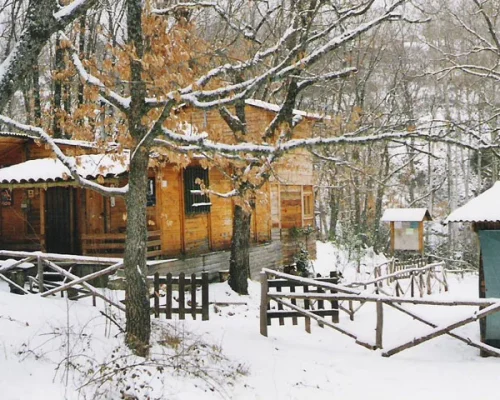 alojamientos-puebla-de-la-sierra-el-molino-de-arriba-nieve