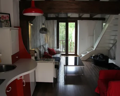 alojamientos-rascafria-vivienda-de-uso-turistico-lucanus-cervus-cocina