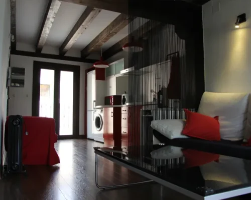 alojamientos-rascafria-vivienda-de-uso-turistico-lucanus-cervus-salon