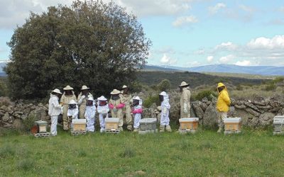 Personas con traje apicultura