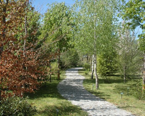 arboreto2-modelo-web