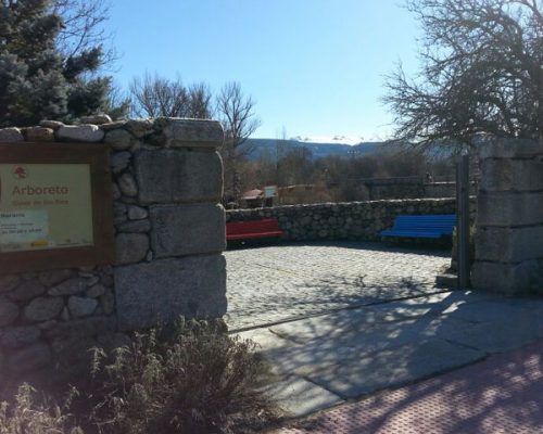 arboreto3-modelo-web