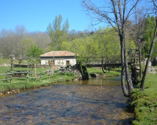 area-hiruela