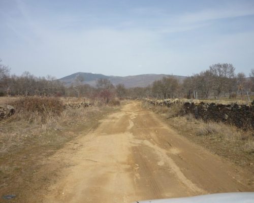 bellidas-y-espadaña-de-sto.-domingo.-piñuecar-2-2048x1536