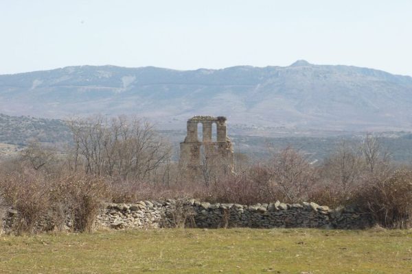 bellidas-y-espadaña-de-sto.-domingo.-piñuecar-2048x1536