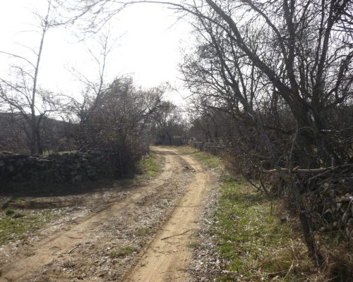 bellidas-y-espadaña-de-sto.-domingo.-piñuecar-3-2048x1536