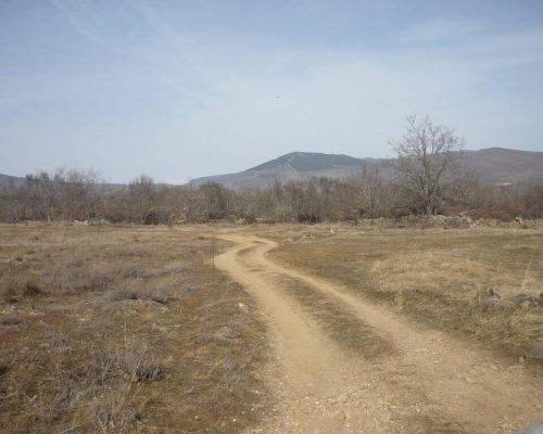 bellidas-y-espadaña-de-sto.-domingo.-piñuecar-4-2048x1536