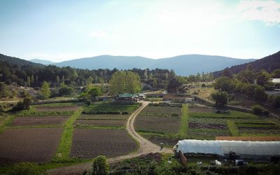 blog-huerta-de-abril