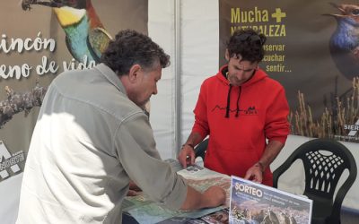 blog-ornitocyl-atencion