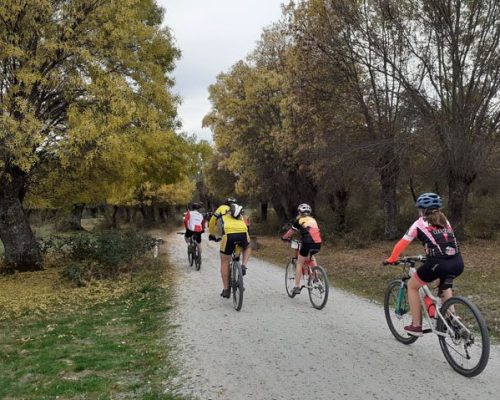 Vista de un camino de tierra con varios ciclistas recorriéndolo.