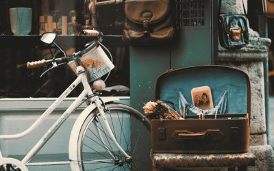 blog_de-compras-tiendas-especiales