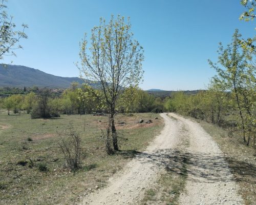 camino de tierra despejado