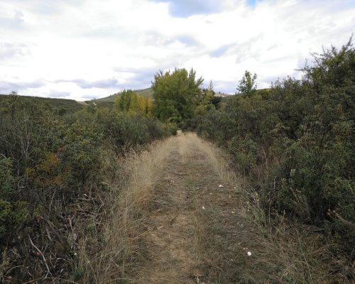 camino-de-valdehierro.-robledillo-2-2048x1532
